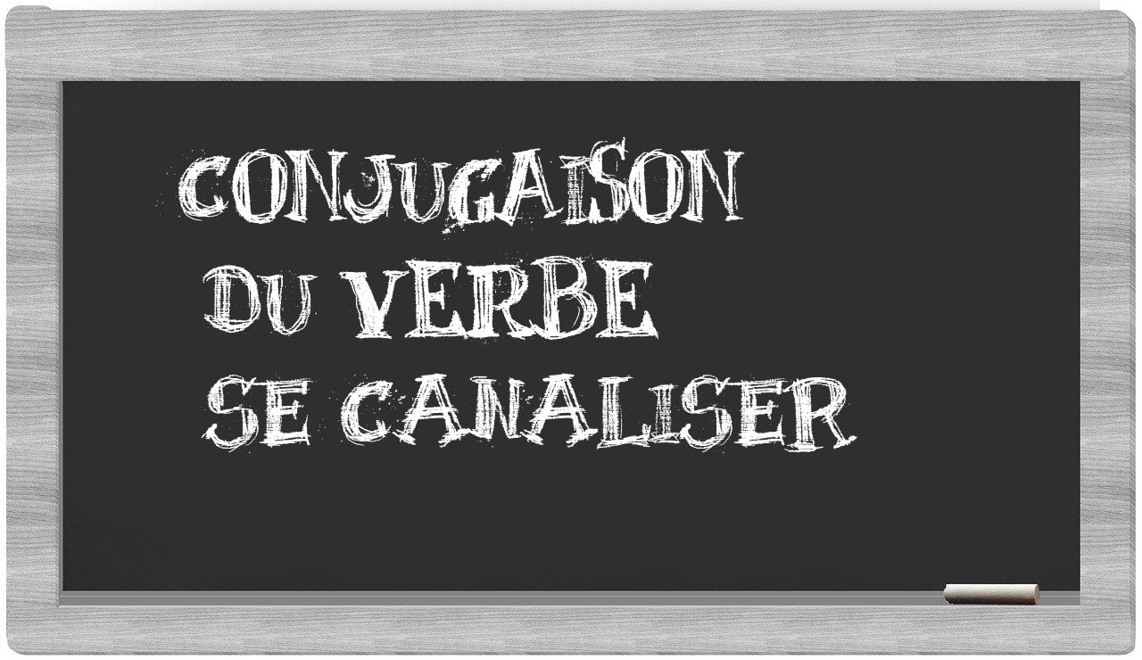 ¿se canaliser en sílabas?